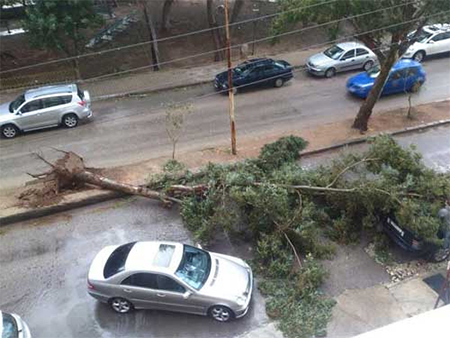 un arbol arrancado por el temporal El temporal “Zeina” anuncia su visita a Líbano con nieve